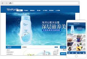 日用百貨公司網(wǎng)站模板