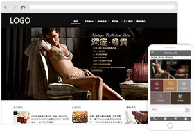 女士皮包網(wǎng)站樣板案例