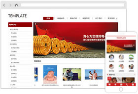 金融保險行業(yè)網(wǎng)站模板