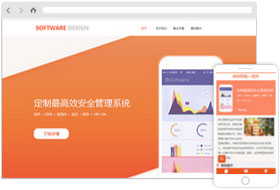 軟件行業(yè)網(wǎng)站模板